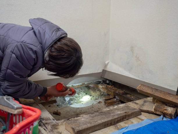 Mold Odor Removal Services in Wetumpka, AL